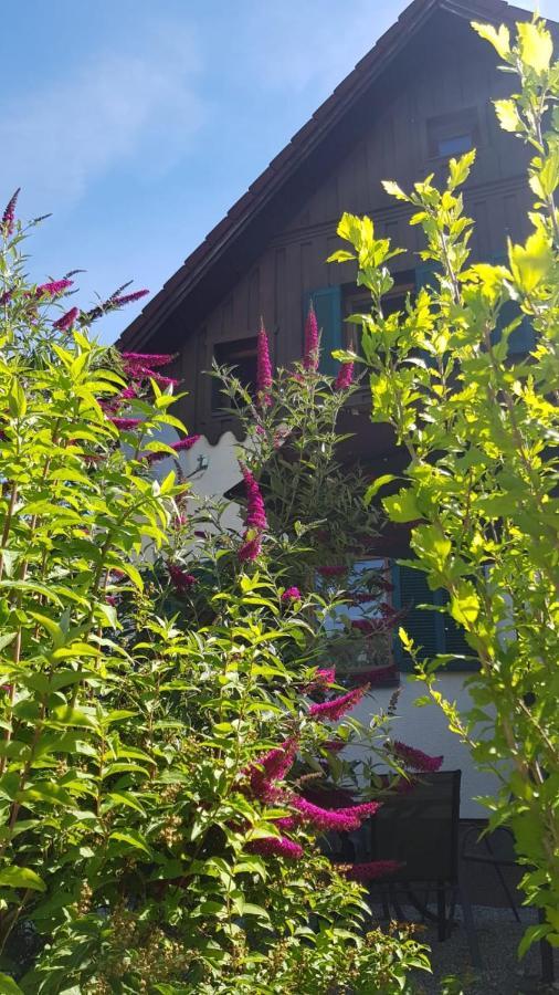 Appartement Chill&Sleep Bad Ischl Extérieur photo