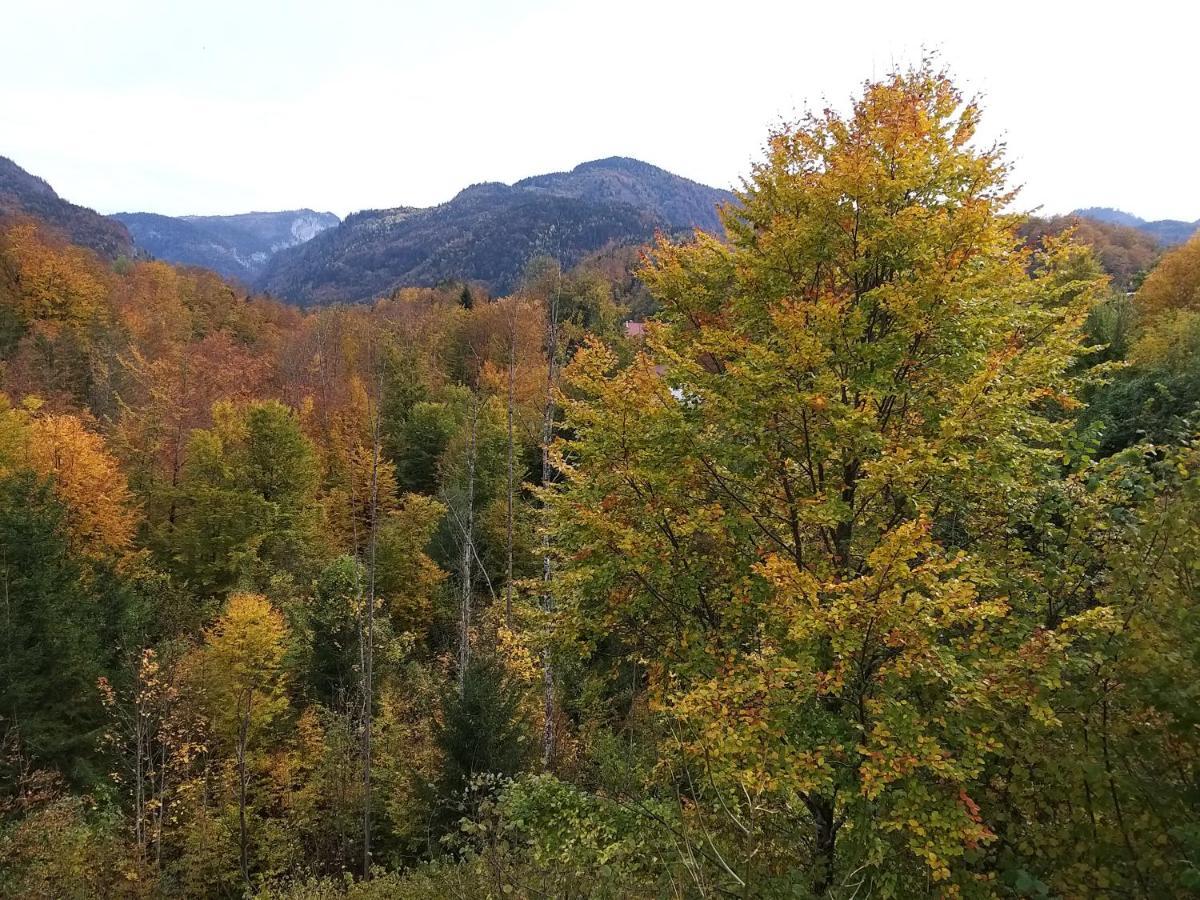 Appartement Chill&Sleep Bad Ischl Extérieur photo