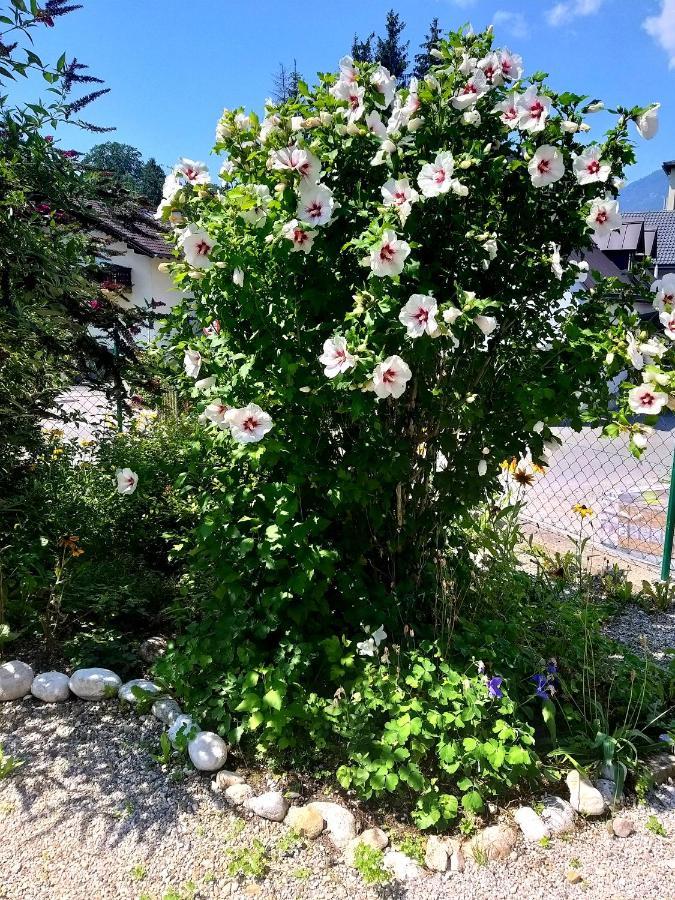 Appartement Chill&Sleep Bad Ischl Extérieur photo