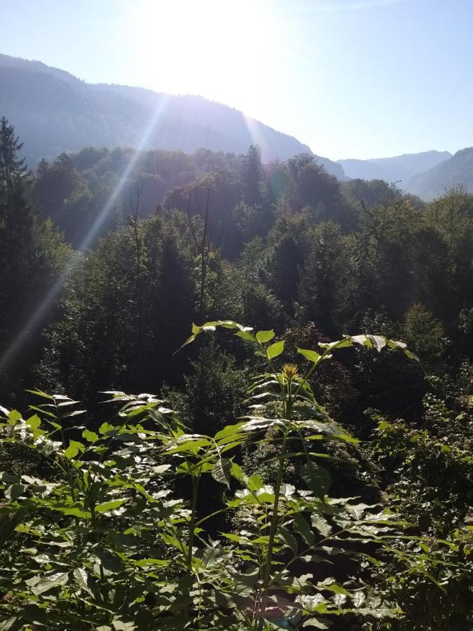 Appartement Chill&Sleep Bad Ischl Extérieur photo