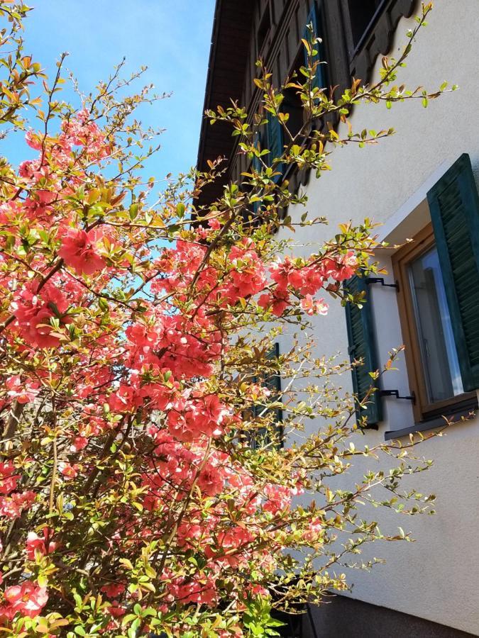 Appartement Chill&Sleep Bad Ischl Extérieur photo